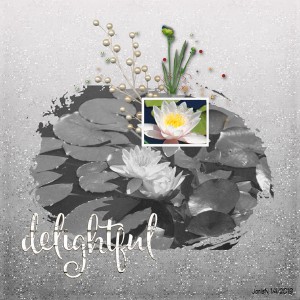 Jan04_BlendingPhotoTechnique_Delightful