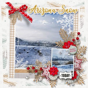 Winter-day