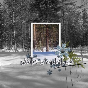 winter wonderland