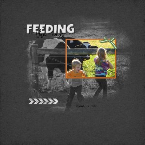 January 4-Blending Photo Technique {Feeding the Cows}