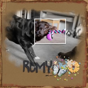 Remy