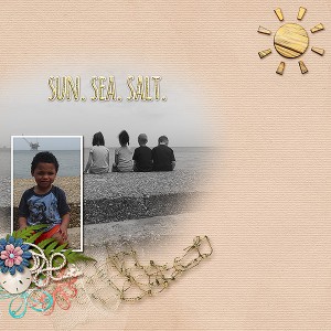 MOC Day 4 -  Sun Sea Salt - Lincoln
