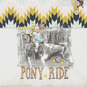 Pony Ride