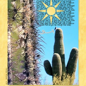 06-ShapeCut-out_Sunshine