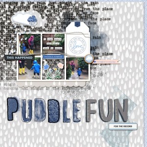 2019MOC6PuddlefunShape
