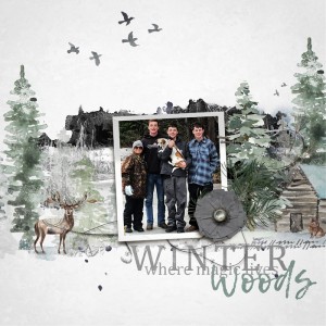 04 - Winter Woods