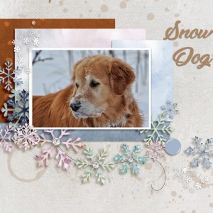 January-8-Filled-Template-Challenge-Snow-Dog