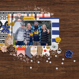 MOC7_08_FilledTemplate_Family