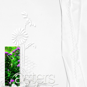 2019-MOC#09_White-on-White_web