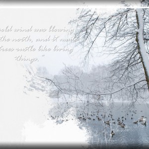 January 9: White on White Page - ATC-2019-007-A-Cold-Wind