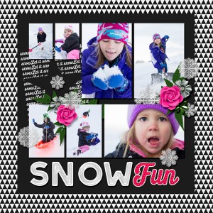 Snow Fun