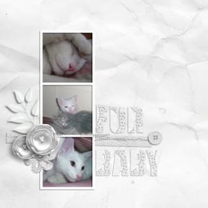 MOC7-Jan9-White-on-White-Page