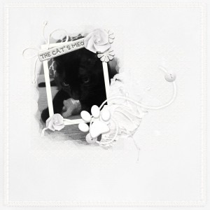 January 9-White On White