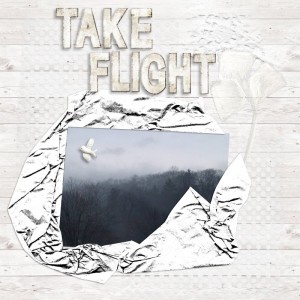 Day 9-Take Flight