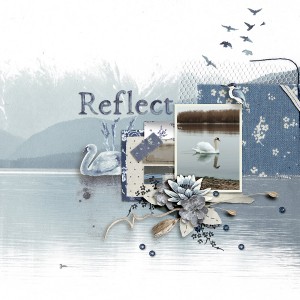 Reflect