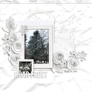 20181213 hoar frost