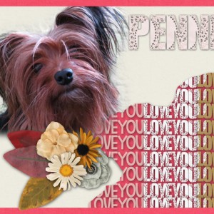 January-10-Shaped-Alpha-Designs-Pennie