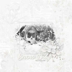 MOC7 Day 9 Snow Day
