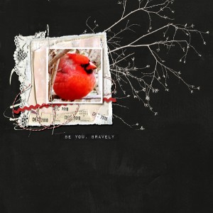 Rachel-Jefferies_2019-01_January_Cardinal_web
