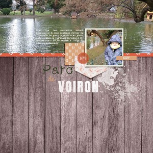 20190109-Parc De Voiron 600