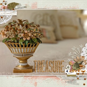 Treasure (left side) - January 2: Photography challenge {shallow depth of field}/MOC7