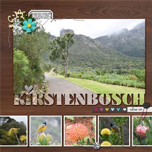 Kirstenbosch