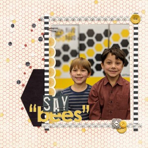 Say "Bees!" SWL Challenge 1-12-19
