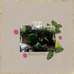 MOC_2019_January_12_Hidden_Photo_Title_EDITED_2