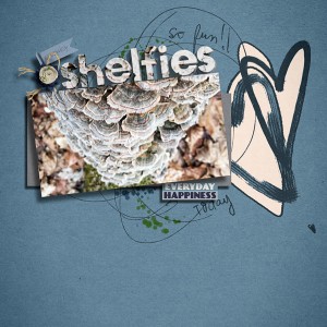 Shelfies MOC 12