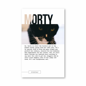 MOC 12 - Morty
