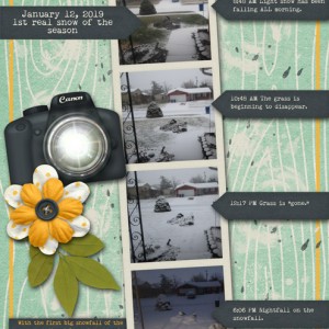 January-13-Photography-Challenge-Morning-Noon-Night-January-12,-2019