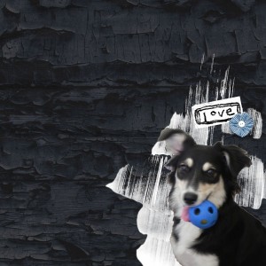 Day 14 Clean-Simple-600