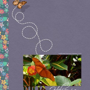 January 14: Clean & Simple with Texture -Julia-Heliconian