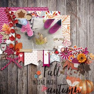 Fall in love with autumn