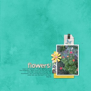 July Garden - Moc 14