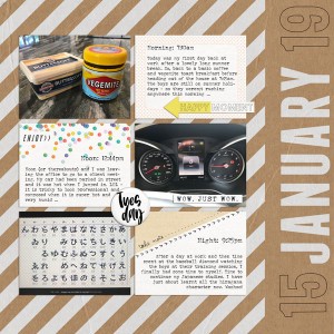 2019_1_january_family_ch_12x12_w