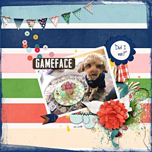 MOC7 Day 15: Gameface
