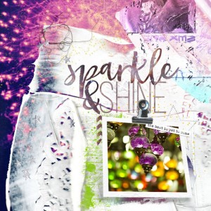 Sparkle & Shine in the new year