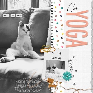 Cat Yoga