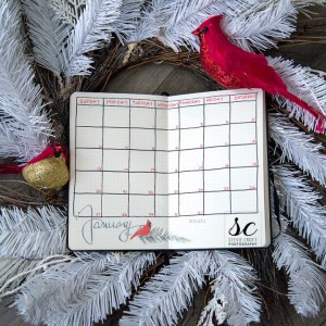 Bujo: January Calendar