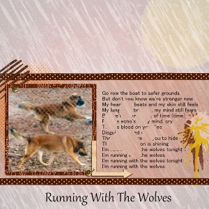 Running With The Wolves