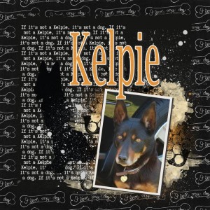 MOC7-6-kelpie