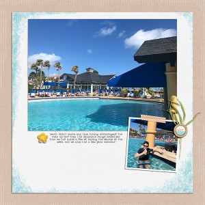 MOC 15 Swim Up Bar