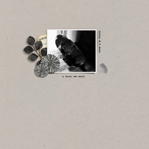 Jan. 14 | Clean & Simple