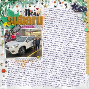 New Subaru - Day 20