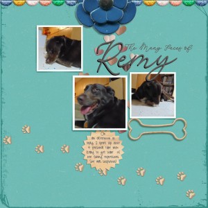 Remy-in-May