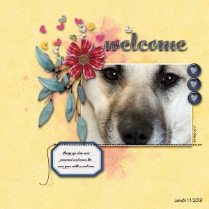 Jan01_BlindScrap_Welcome Rev