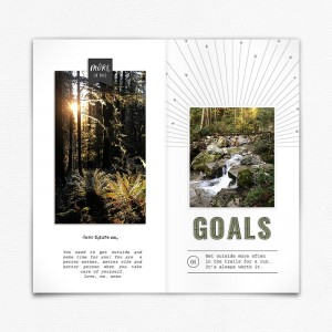 Goals for 2019