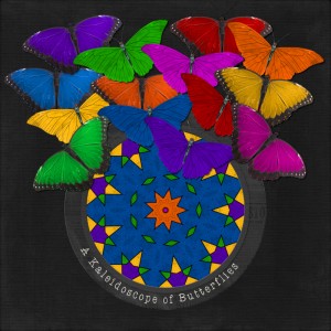 A Flutter Of Color