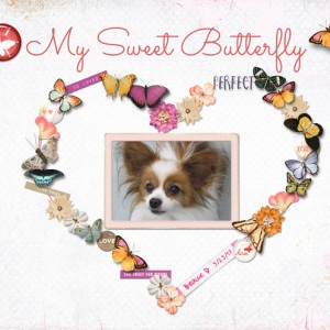 January 18: Elements on a Path - My-Sweet-Butterfly